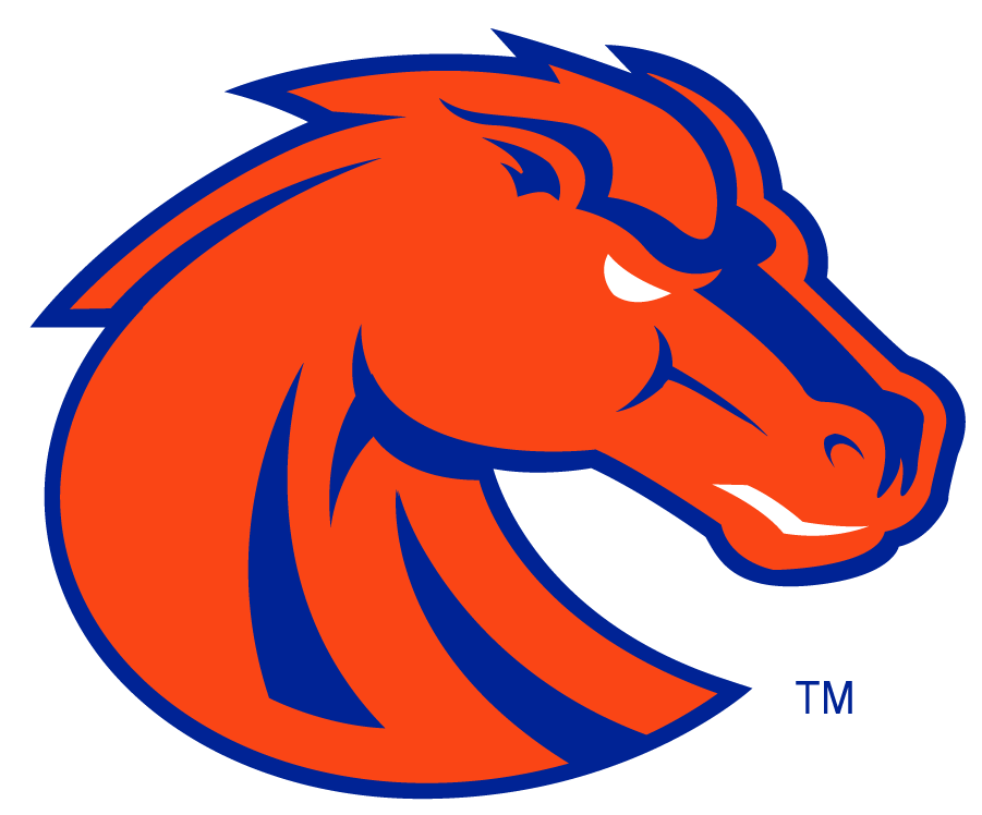 Boise State Broncos 2002-2012 Secondary Logo v3 diy iron on heat transfer